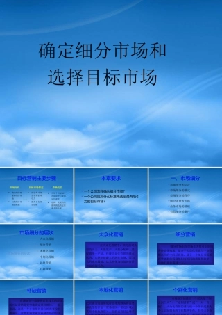 培训讲义-确定细分市场和选择目标市场