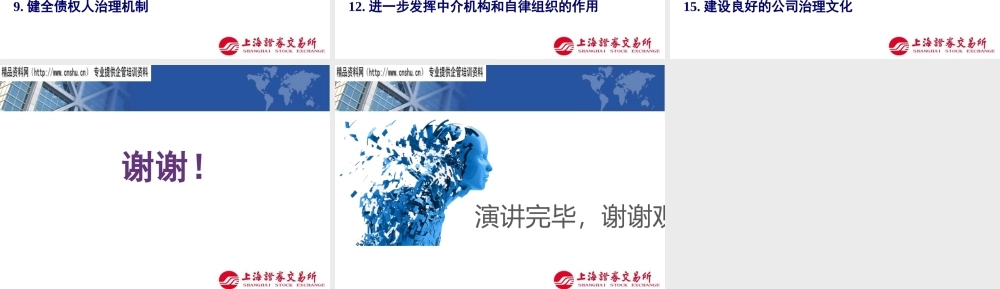 大陆企业治理--进展、挑战与对策讲义