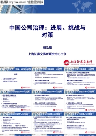 大陆企业治理--进展、挑战与对策讲义