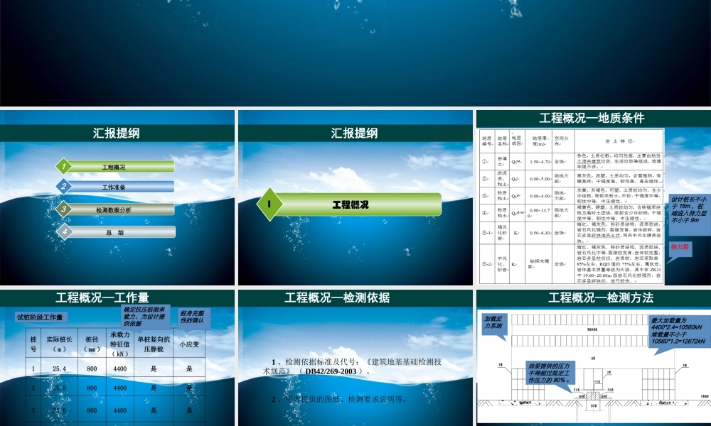 基桩检测项目汇报
