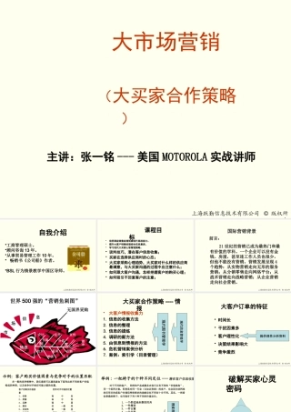 大买家合作策略讲义（福州）