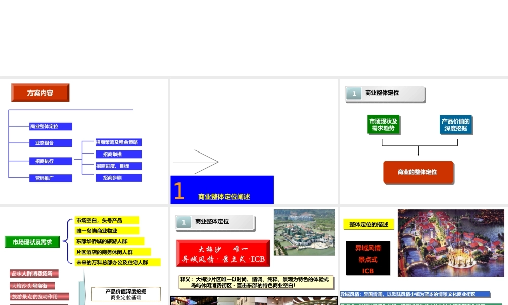 大梅沙湖心岛商业街招商执行报告925459388