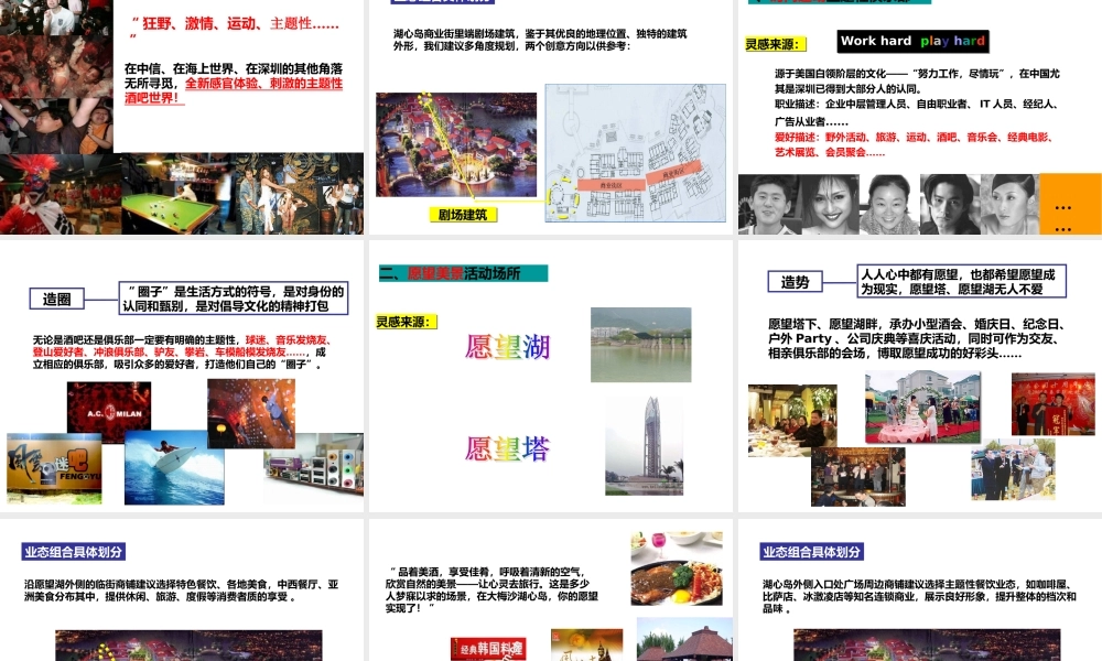大梅沙湖心岛商业街招商执行报告925459388
