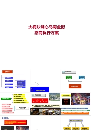 大梅沙湖心岛商业街招商执行报告925459388