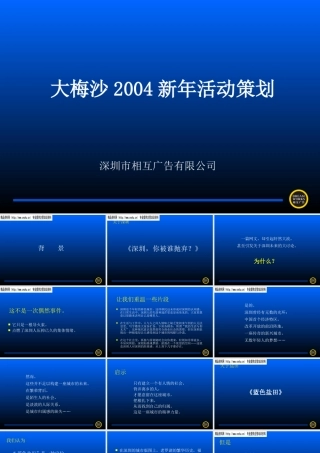 大梅沙某年新年活动策划方案