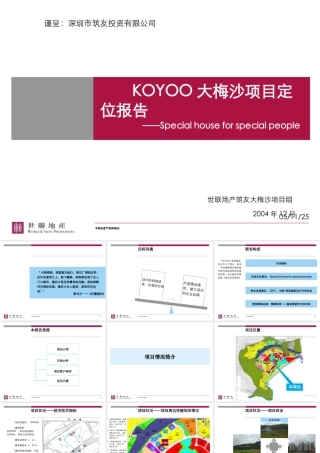 大梅沙项目定位报告