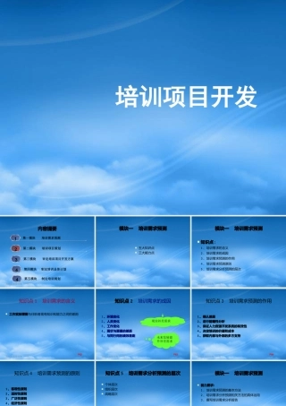 培训项目开发