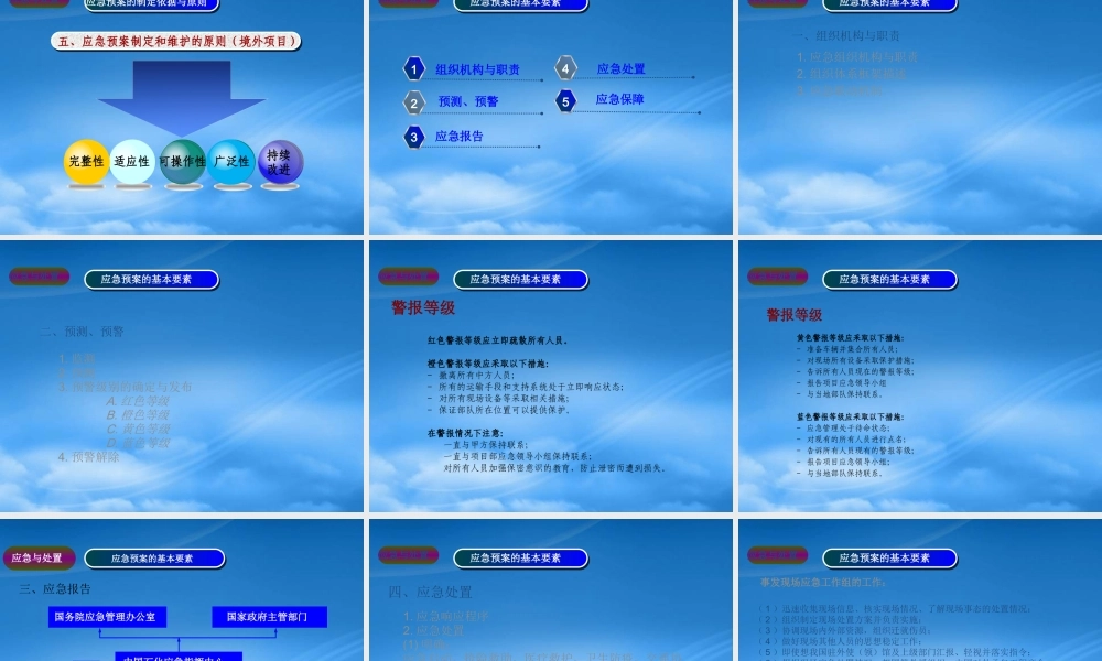 境外公共安全应急预案