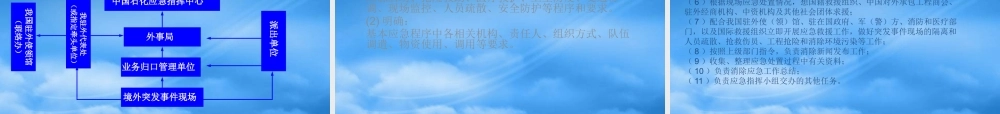境外公共安全应急预案
