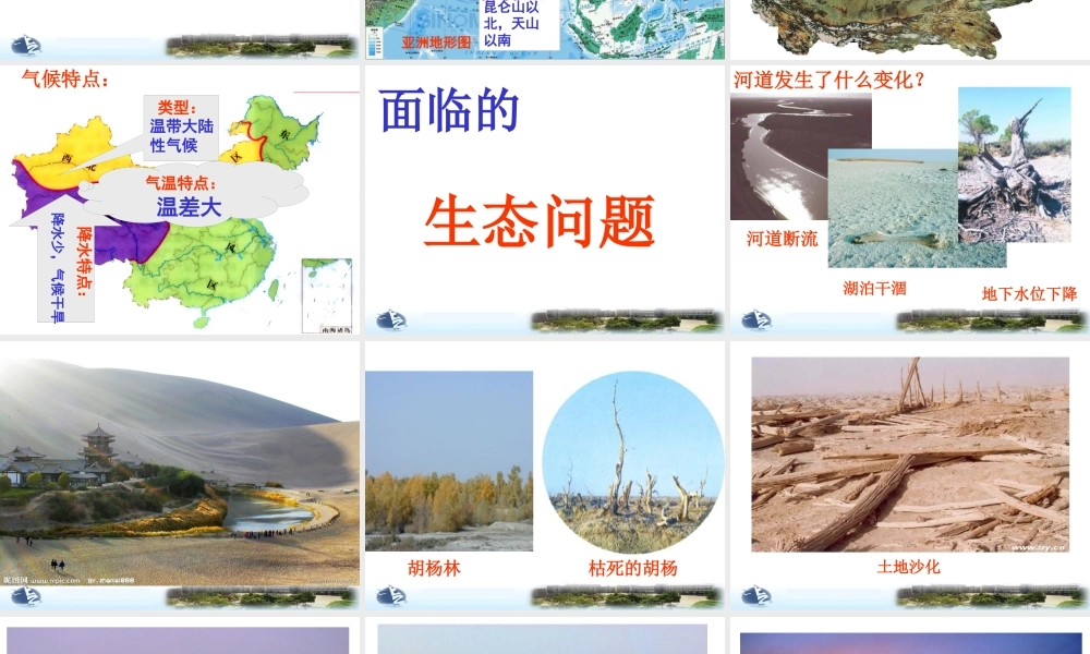 塔里木河流域的综合治理