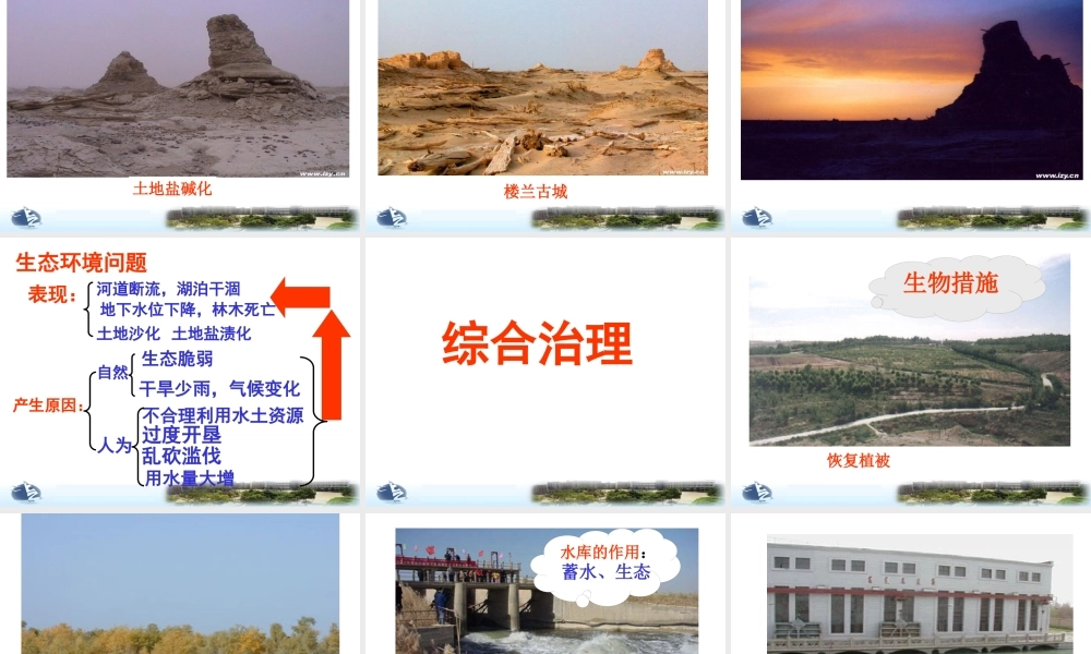 塔里木河流域的综合治理