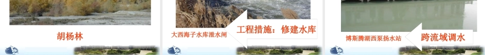 塔里木河流域的综合治理