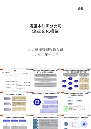 塔里木企业文化-最终版