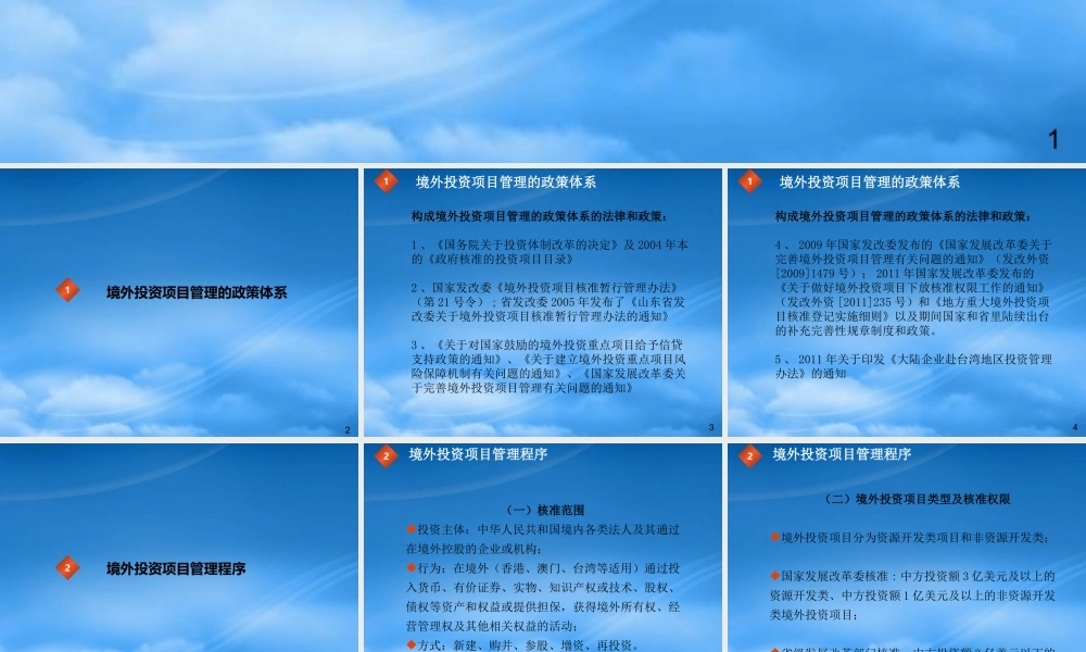 境外投资项目管理