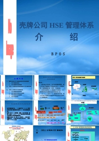 壳牌公司HSE管理体系介绍