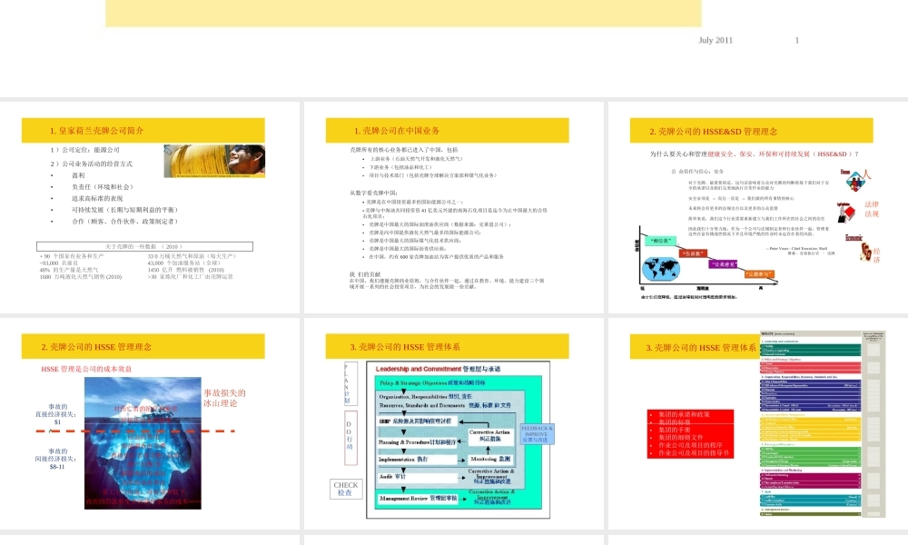 壳牌公司HSSE管理体系(PPT31页)