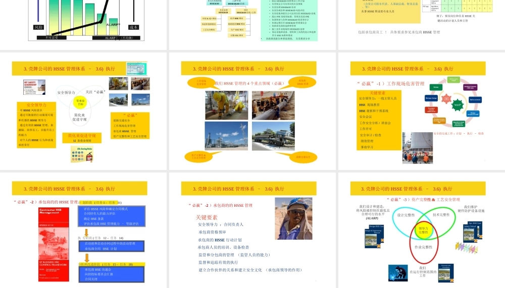 壳牌公司HSSE管理体系(PPT31页)