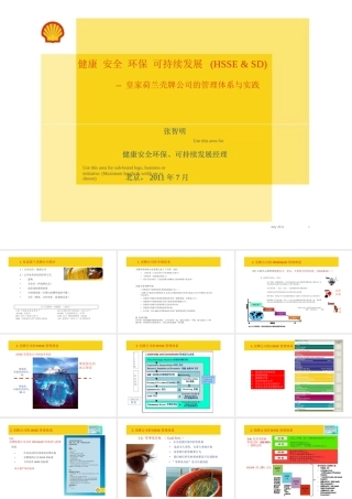 壳牌公司HSSE管理体系(PPT31页)