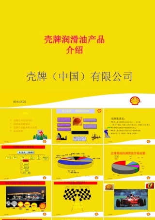 壳牌公司简介及产品全面资料