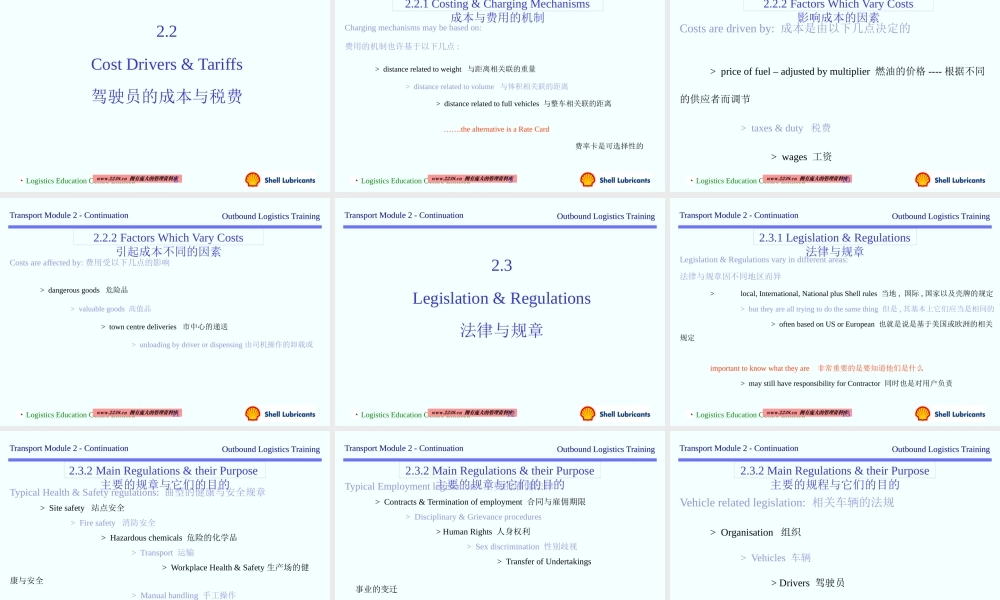 壳牌公司物流控制与监控方案(ppt 30) 