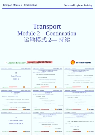 壳牌公司物流控制与监控方案(ppt 30) 