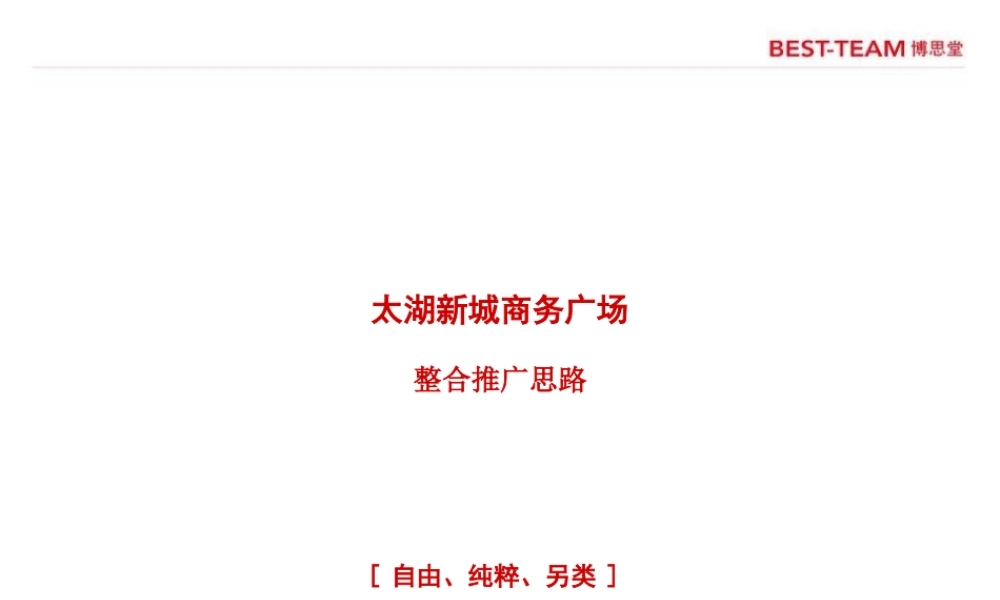 太湖新城商务广场整合推广思路