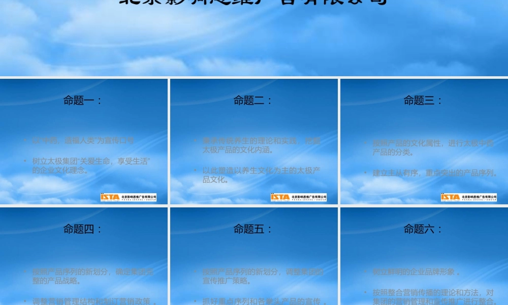 太极集团产品战略建议
