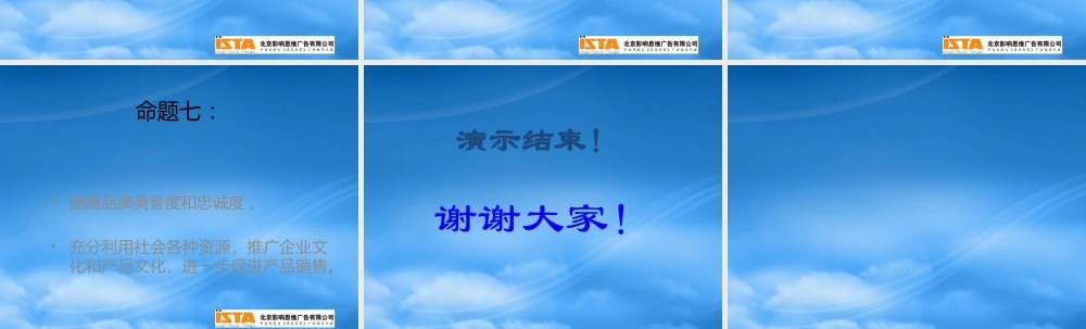 太极集团产品战略建议