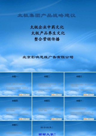 太极集团产品战略建议