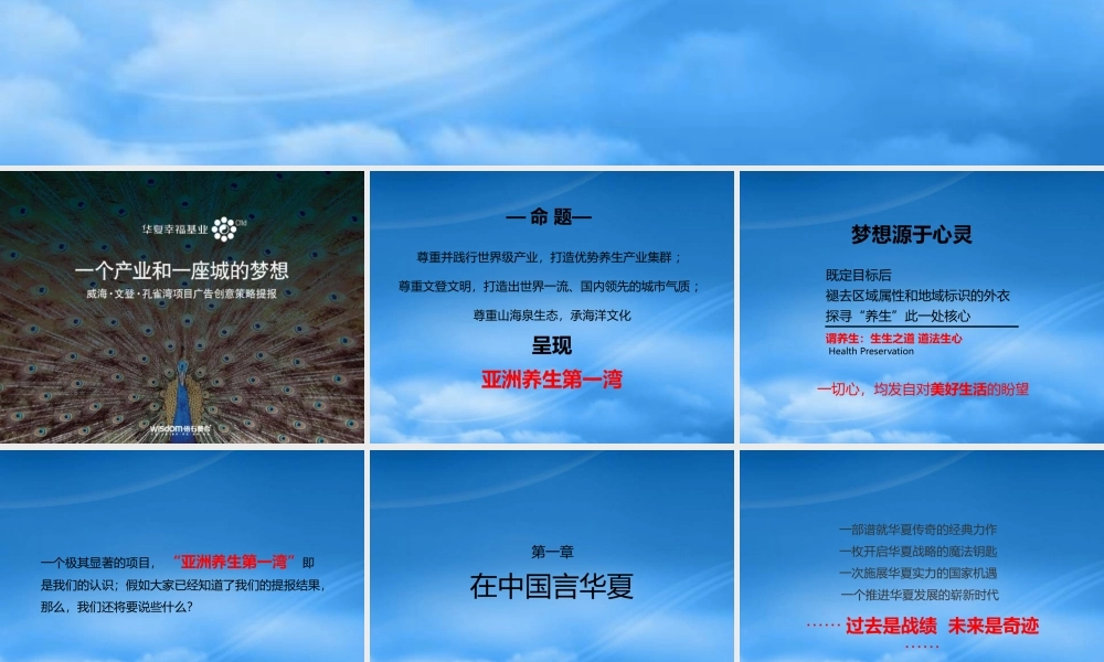 孔雀湾推广策略课件