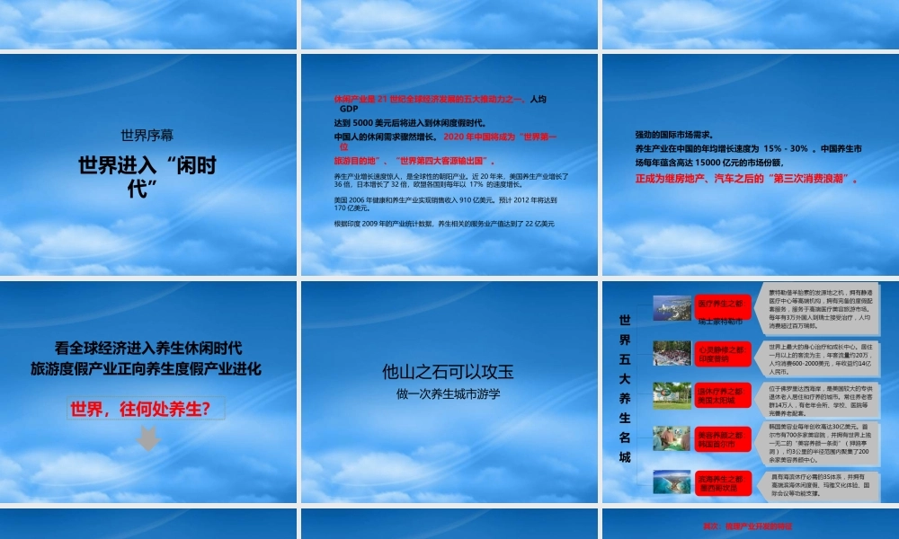 孔雀湾推广策略课件