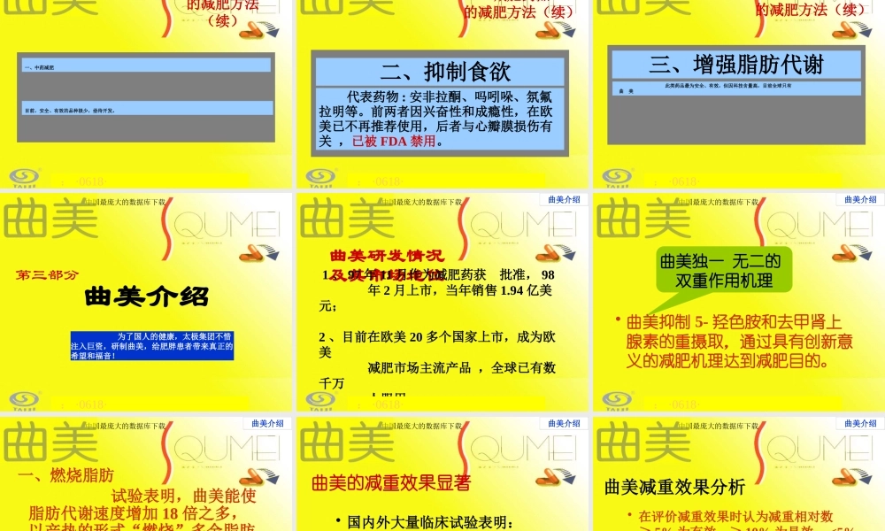 太极集团曲美推广会