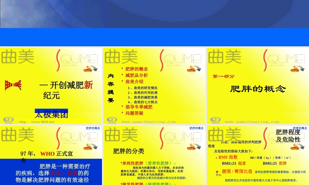 太极集团--曲美推广会