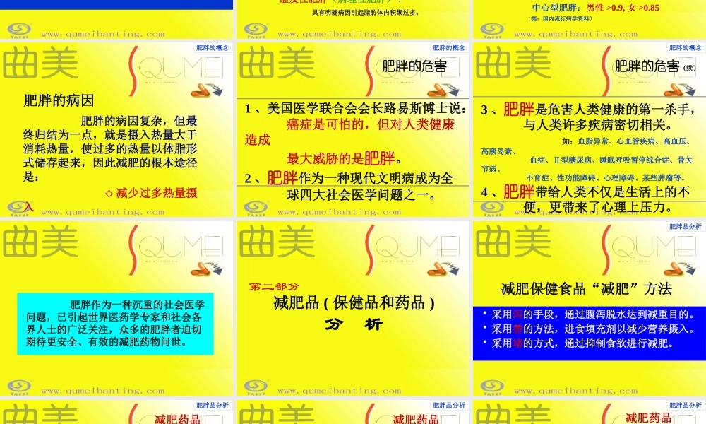 太极集团--曲美推广会