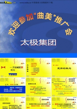 太极集团--曲美推广会