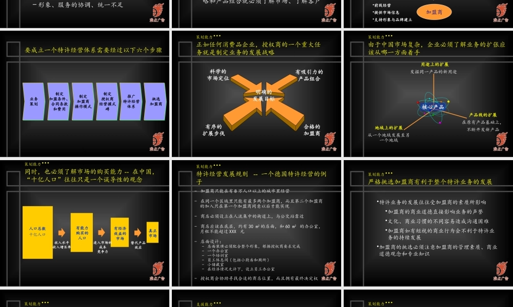 太极集团特许经营的逻辑思考(ppt 25)
