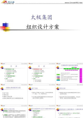 太极集团组织结构设计
