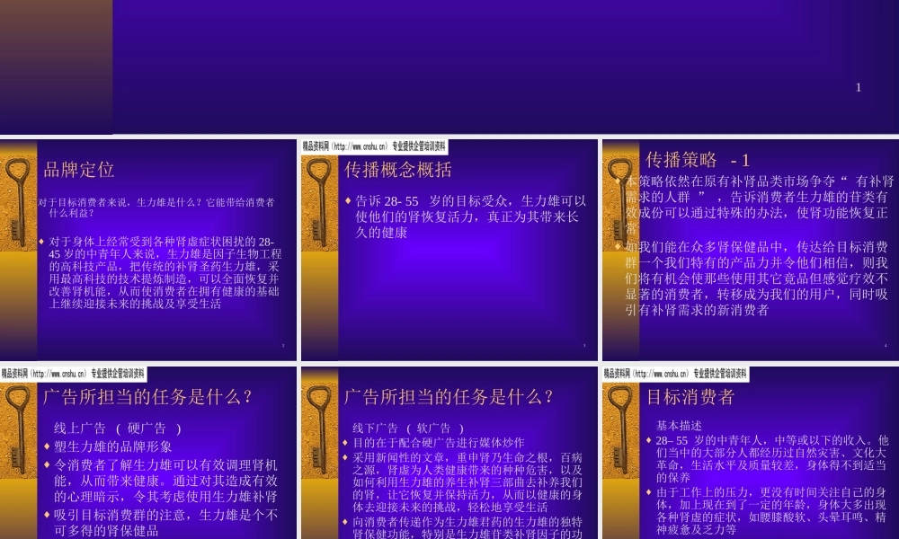 太极生力雄丸策划