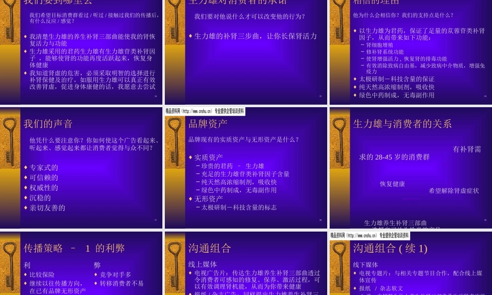 太极生力雄丸策划