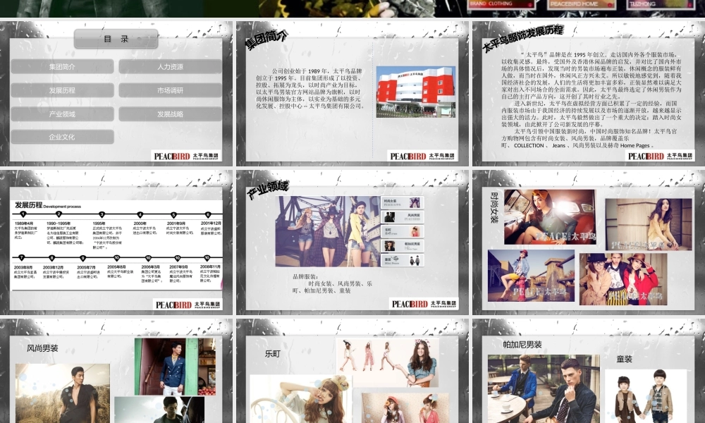 太平鸟品牌策划