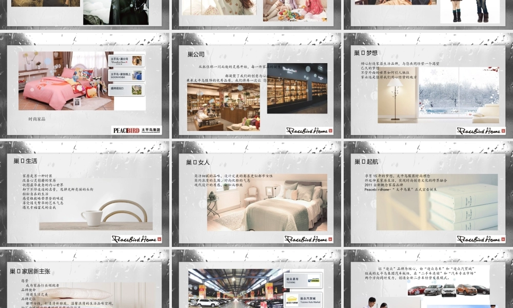 太平鸟品牌策划