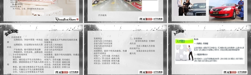 太平鸟品牌策划