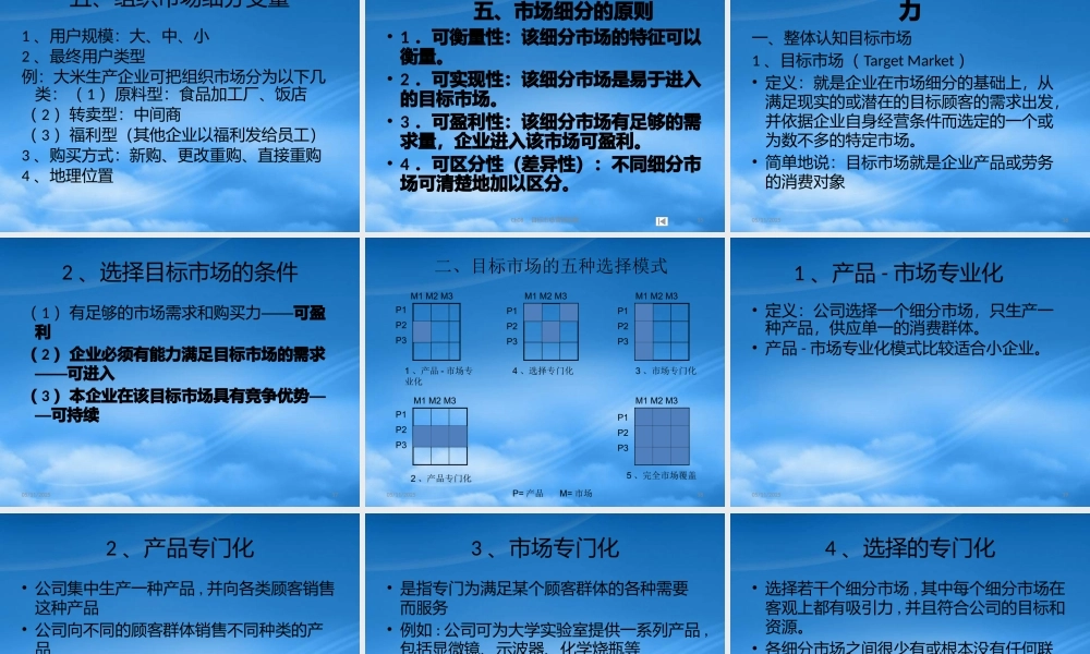 培养市场细分目标市场选择与定位的能力讲义