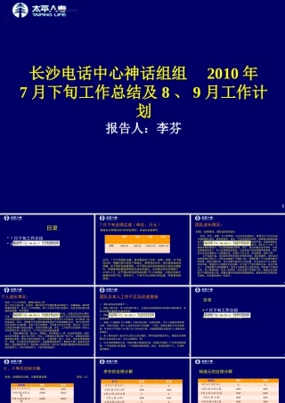 太平人寿月度工作总结与工作计划