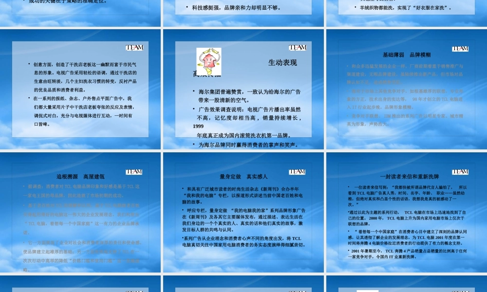 培养中国强势品牌(1)