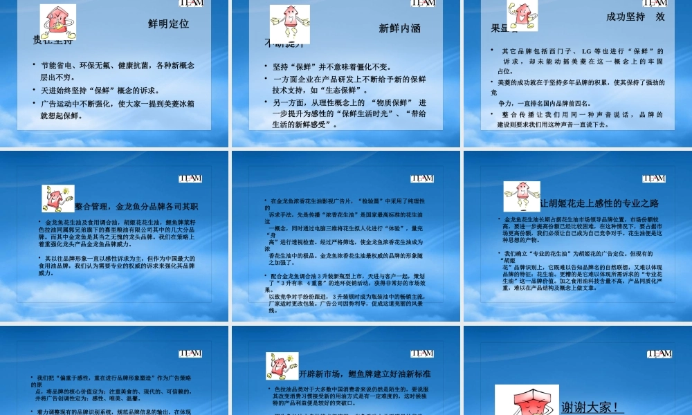 培养中国强势品牌(PPT 22)