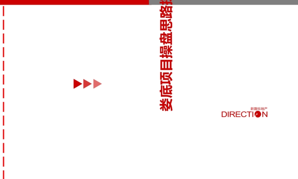 娄底项目操盘思路探讨讲义