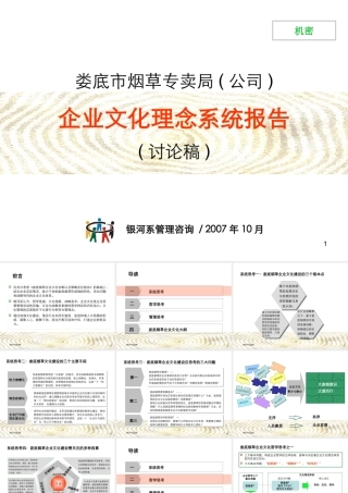 娄底烟草企业文化理念系统报告(1211-stone)