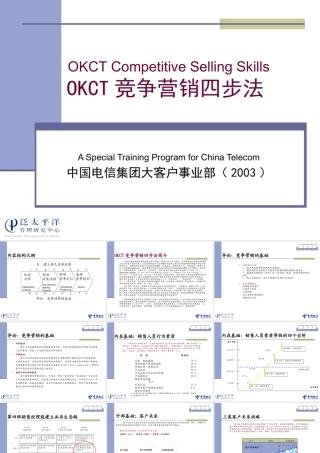 太平洋给电信做的咨询