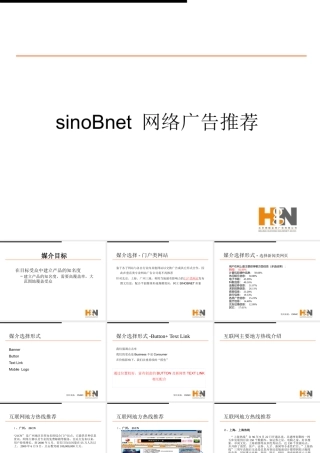 媒介策划_sinobnetinternet